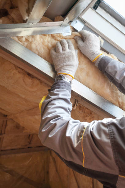Best Insulation Installation Services in Shawsville, VA